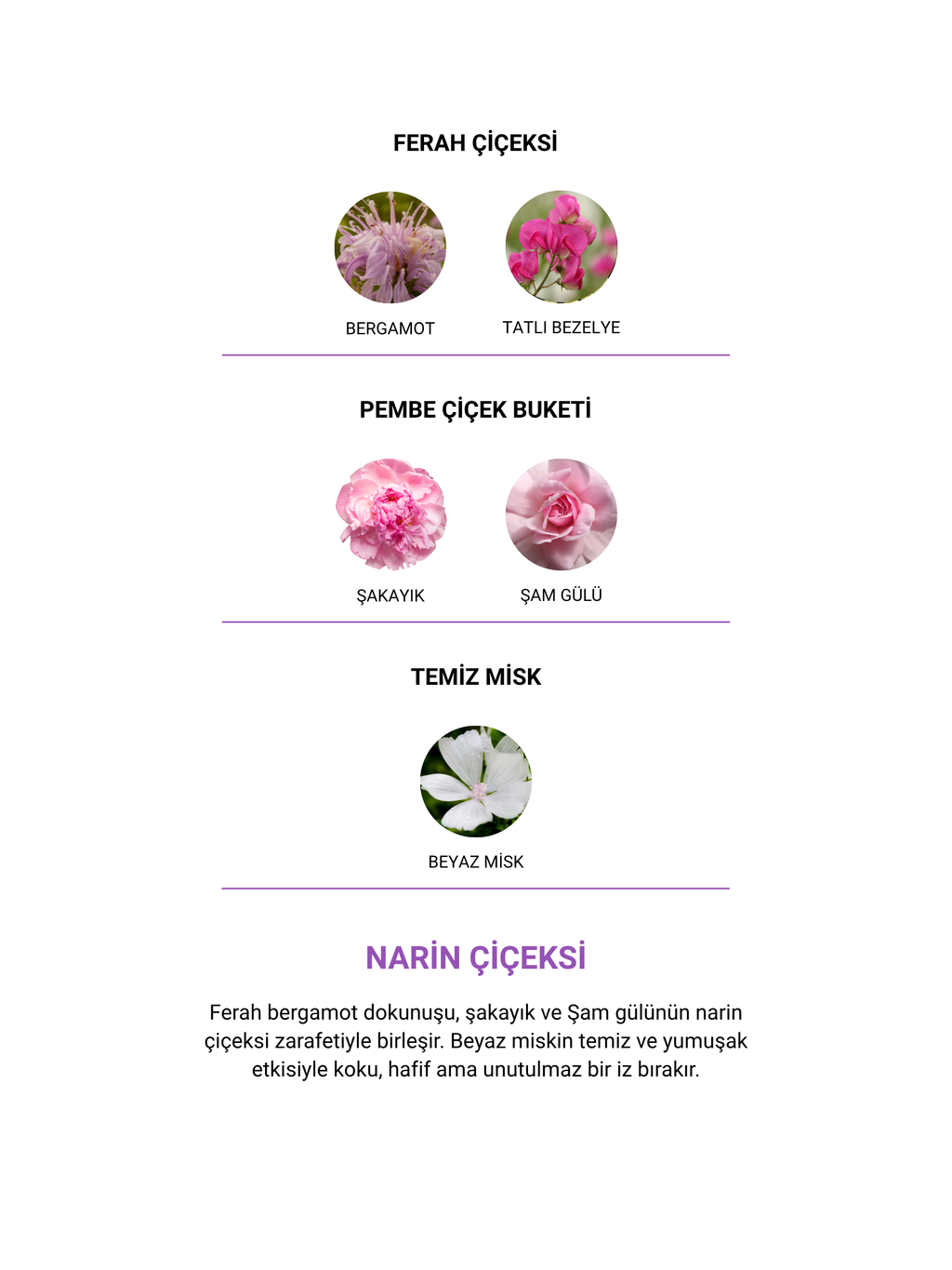 A'mentia Nera EDP 50 ml Kadın Parfüm