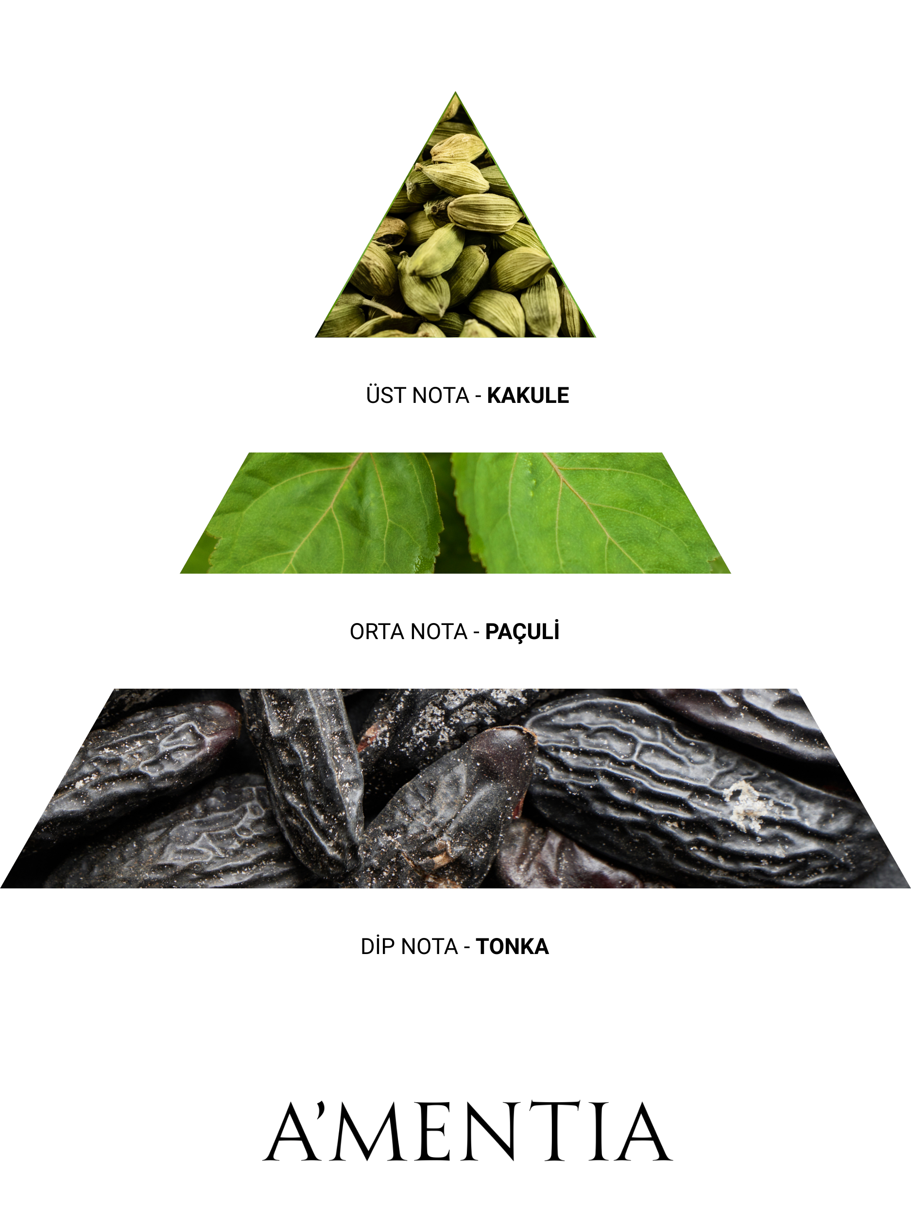 A'mentia Fenrir EDP 50 ml Erkek Parfüm